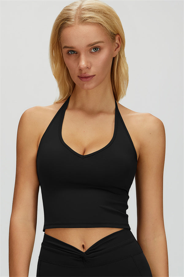 The Dreamy Halter Crop Top