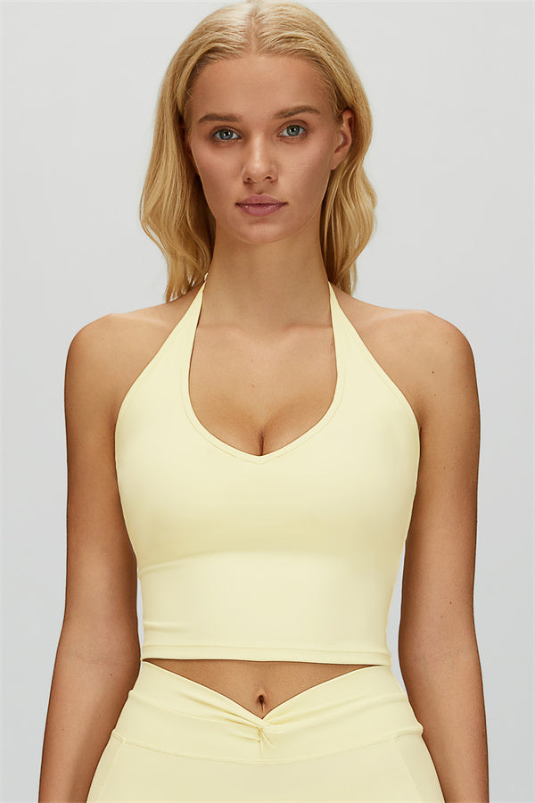 The Dreamy Halter Crop Top
